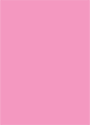 Peony Flat Paper 5 x 7 - 50/Pk