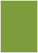 Iguana Flat Paper 5 x 7 - 50/Pk