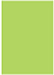 Citrus Green Flat Paper 5 x 7 - 50/Pk