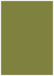 Olive Flat Paper 5 x 7 - 50/Pk