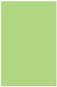 Pistachio Flat Paper 5 1/4 x 8 - 50/Pk