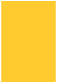 Soleil Flat Paper 5 1/4 x 8 - 50/Pk