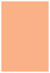 Ginger Flat Paper 5 1/4 x 8 - 50/Pk