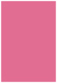 Peony Flat Paper 5 1/4 x 8 - 50/Pk