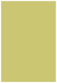 Tropical Green Flat Paper 5 1/4 x 8 - 50/Pk