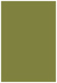 Olive Flat Paper 5 1/4 x 8 - 50/Pk