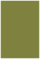 Olive Flat Paper 5 1/4 x 8 - 50/Pk