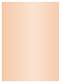 Nude Flat Paper 5 1/4 x 8 - 50/Pk