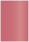 Azalea Flat Paper 5 1/4 x 8 - 50/Pk