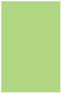 Pistachio Flat Paper 5 5/8 x 8 5/8 - 50/Pk