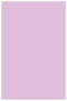 Purple Lace Flat Paper 5 5/8 x 8 5/8 - 50/Pk
