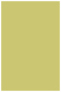 Tropical Green Flat Paper 5 5/8 x 8 5/8 - 50/Pk