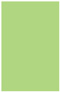 Pistachio Flat Paper 5 1/2 x 8 1/2 - 50/Pk