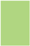 Pistachio Flat Paper 5 1/2 x 8 1/2 - 50/Pk