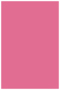Peony Flat Paper 5 1/2 x 8 1/2 - 50/Pk