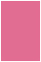 Peony Flat Paper 5 1/2 x 8 1/2 - 50/Pk