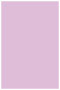Purple Lace Flat Paper 5 1/2 x 8 1/2 - 50/Pk