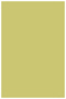 Tropical Green Flat Paper 5 1/2 x 8 1/2 - 50/Pk