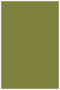 Olive Flat Paper 5 1/2 x 8 1/2 - 50/Pk