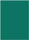 Emerald Flat Paper 5 1/2 x 7 1/2 - 50/Pk