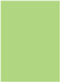 Pistachio Flat Paper 5 1/2 x 7 1/2 - 50/Pk