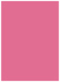 Peony Flat Paper 5 1/2 x 7 1/2 - 50/Pk