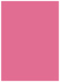 Peony Flat Paper 5 1/2 x 7 1/2 - 50/Pk