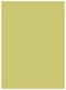 Tropical Green Flat Paper 5 1/2 x 7 1/2 - 50/Pk