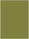 Olive Flat Paper 5 1/2 x 7 1/2 - 50/Pk