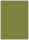 Olive Flat Paper 5 1/2 x 7 1/2 - 50/Pk