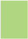 Pistachio Flat Paper 5 1/8 x 7 1/8 - 50/Pk