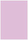 Purple Lace Flat Paper 5 1/8 x 7 1/8 - 50/Pk