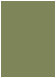 Cactus Flat Paper 5 1/8 x 7 1/8 - 50/Pk