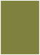Olive Flat Paper 5 1/8 x 7 1/8 - 50/Pk