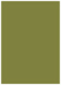 Olive Flat Paper 5 1/8 x 7 1/8 - 50/Pk