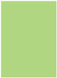 Pistachio Flat Paper 5 1/4 x 7 1/4 - 50/Pk