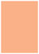 Ginger Flat Paper 5 1/4 x 7 1/4 - 50/Pk