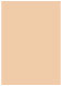 Latte Flat Paper 5 1/4 x 7 1/4 - 50/Pk