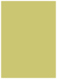 Tropical Green Flat Paper 5 1/4 x 7 1/4 - 50/Pk