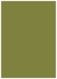 Olive Flat Paper 5 1/4 x 7 1/4 - 50/Pk