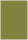 Olive Flat Paper 5 1/4 x 7 1/4 - 50/Pk