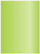 Sour Apple Flat Paper 5 1/4 x 7 1/4 - 50/Pk