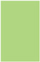 Pistachio Flat Paper 5 1/4 x 8 1/4 - 50/Pk