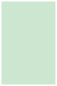 Green Tea Flat Paper 5 1/4 x 8 1/4 - 50/Pk