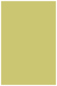 Tropical Green Flat Paper 5 1/4 x 8 1/4 - 50/Pk