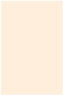 Old Lace Flat Paper 5 3/4 x 8 3/4 - 50/Pk