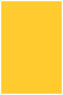 Soleil Flat Paper 5 3/4 x 8 3/4 - 50/Pk