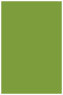 Iguana Flat Paper 5 3/4 x 8 3/4 - 50/Pk