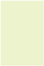 Spring Flat Paper 5 3/4 x 8 3/4 - 50/Pk