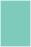 South Beach Flat Paper 5 3/4 x 8 3/4 - 50/Pk